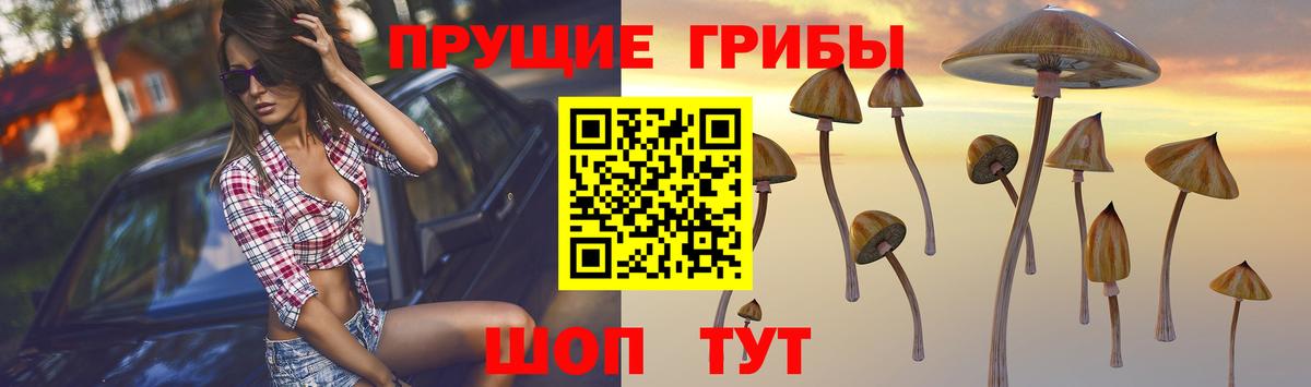 Псилоцибиновые грибы мухоморы  Вход с VPN  Когалым 